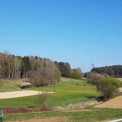 Umgebung der Artemis-Farm